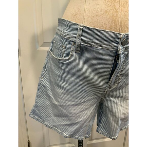 Pilcro and the Letterpress Blue & White Striped "Hyphen Fit" Shorts, Size 28 - Picture 2 of 7
